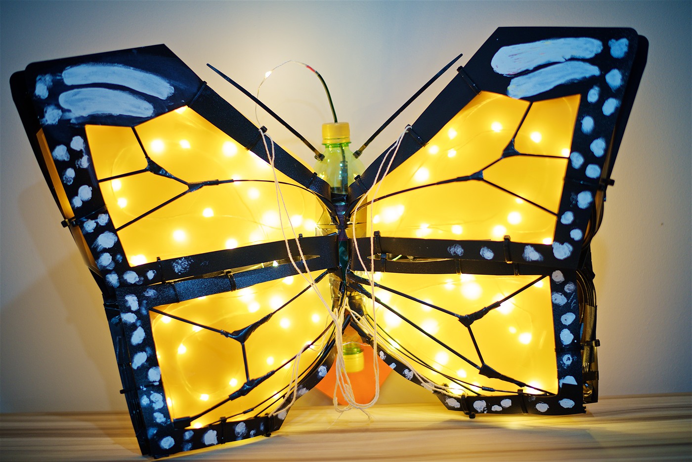 Butterfly Lantern